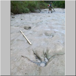 100_0706 (2009-27-07)m.JPG